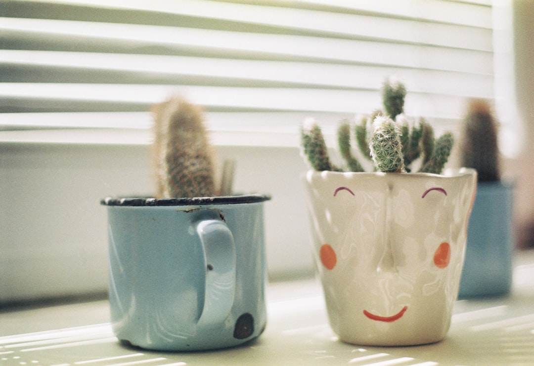 Eco-Chic: Sustainable Home Decor for a Greener Future